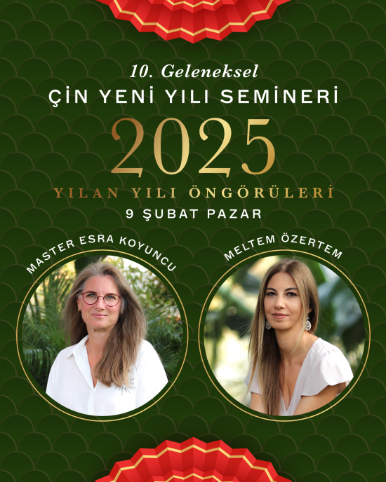 10. Geleneksel Çin Yeni Yılı Semineri: 2025 Yılan Yılı Öngörüleri