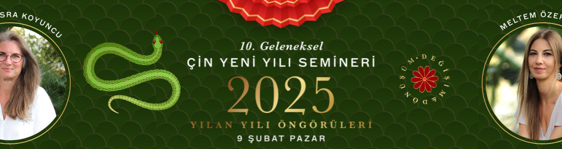 10. Geleneksel Çin Yeni Yılı Etkinliği - 2025 Yılan Senesi