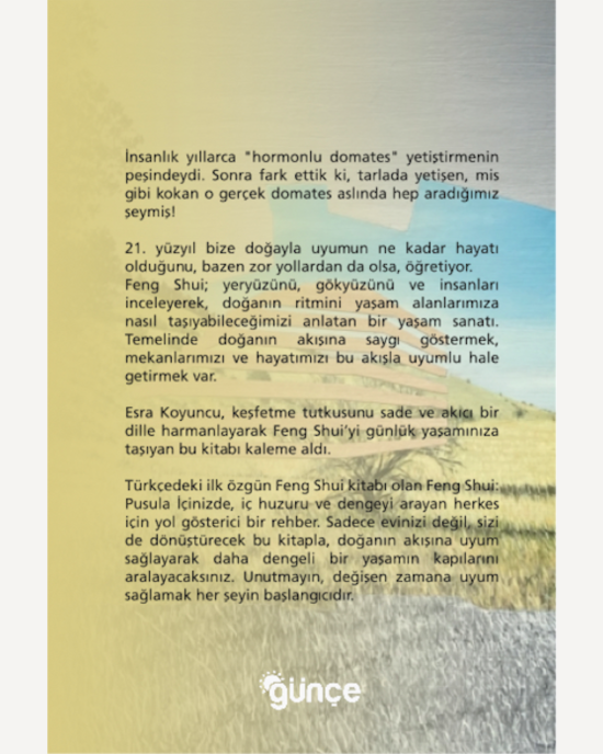 Feng Shui - Pusula İçinizde Feng Shui - Pusula İçinizde